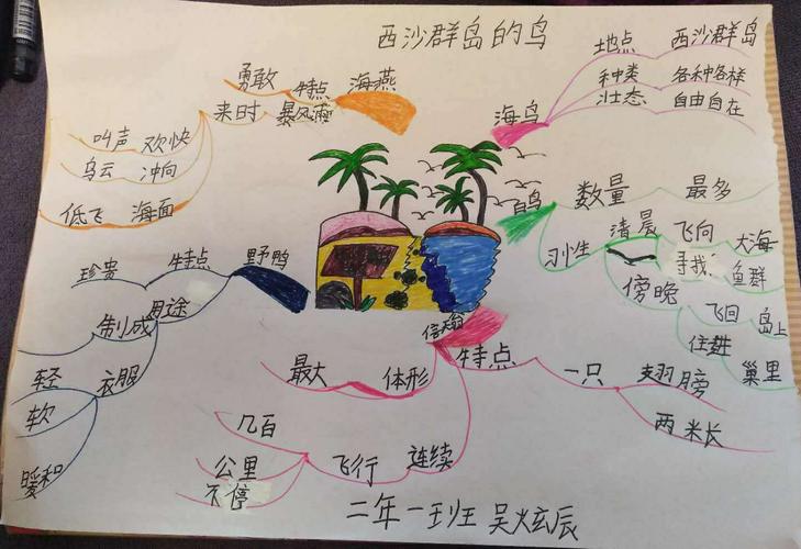 《西沙群岛的鸟》思维导图