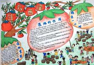湿地公园环保手抄报 校园环境手抄报