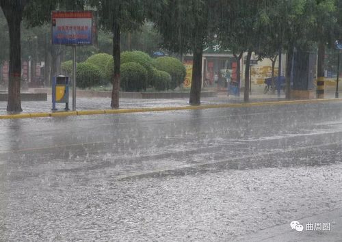 曲周人注意:小到中雨 大雨马上到!骤降10-15℃,局地霜冻!