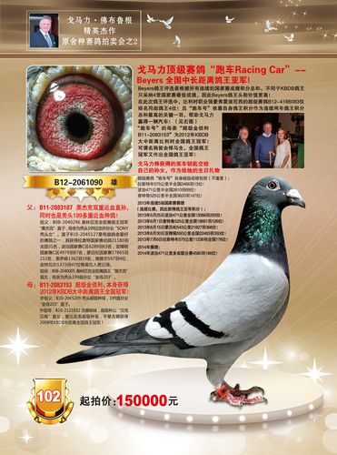 戈马力超级赛鸽跑车