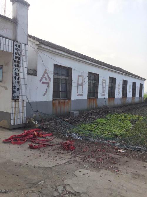 利辛县阚疃镇八里村先锋网