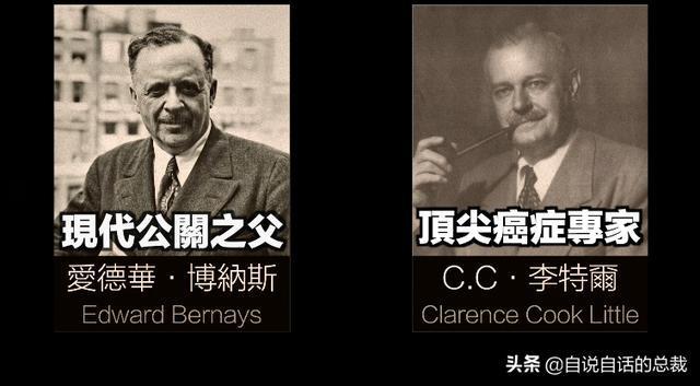 烟草:谢谢你抽烟,来为这场黑暗内幕埋单,为什么要禁烟