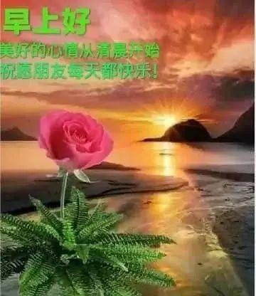 清晨日出唯美的早安图片带字,早上好图片带祝福语
