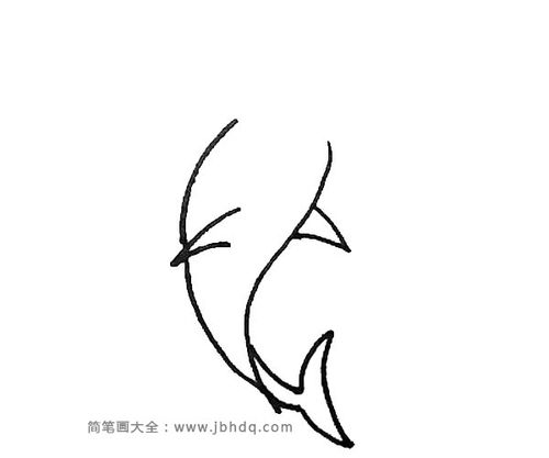 第三步:接着在外围再画下一条曲线连接起来,以及画上它的尾巴.