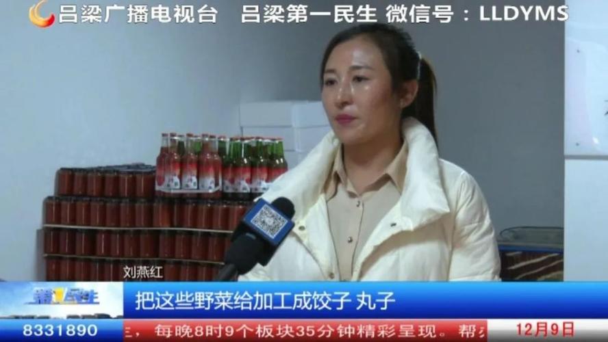 【吕梁第一民生】 刘燕红:妇女顶起半边天 "二妹子"闯出致富路《我为