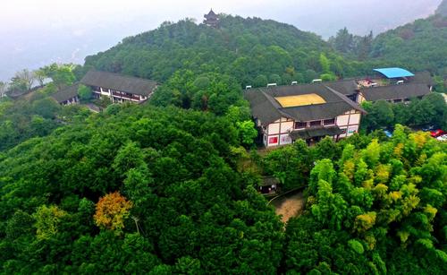 樵坪红豆杉谷景区