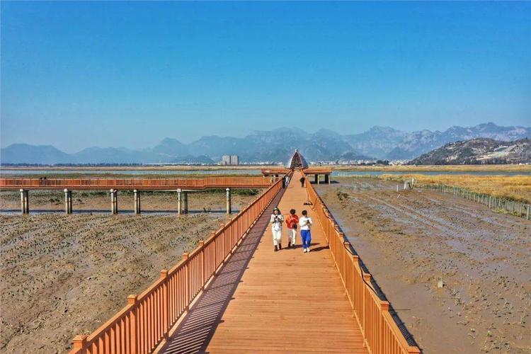 网红海岛栈道来了,乐清最美海岛等你打卡