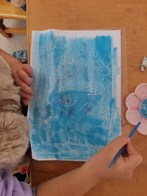 东果幼儿园大班——有趣的油水分离画
