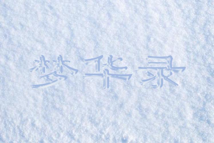 ps教你怎么三步在雪地背景上写出手写雪字