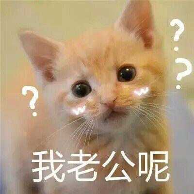 萌猫表情包,喜欢就收藏吧,mua~ by:沐雨.