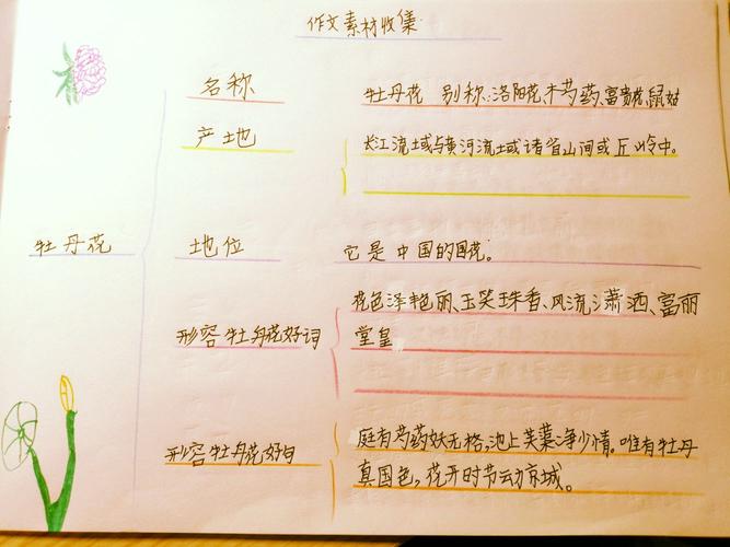罗老师精英班杨婷雅思维导图作品
