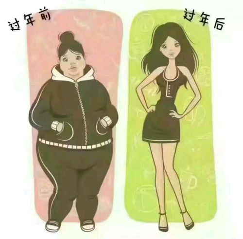 胖与瘦的比较