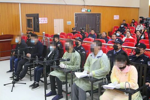 湘西古丈法院 公开开庭审理一起医保诈骗及包庇案