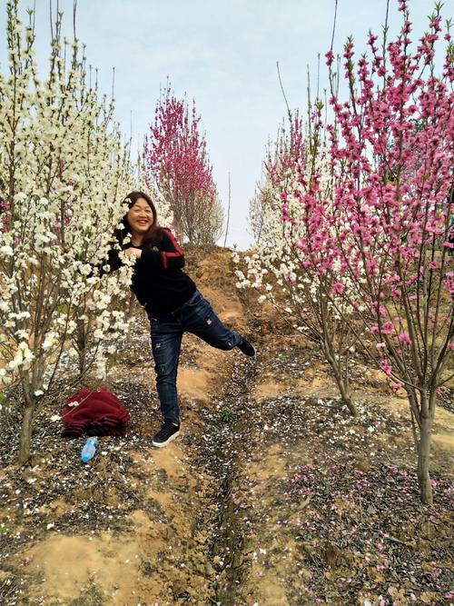安州区乐兴镇百花园赏花.