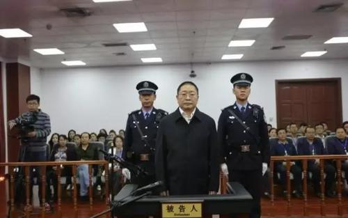 一只想报恩的猫头鹰给所有能看到的物种送