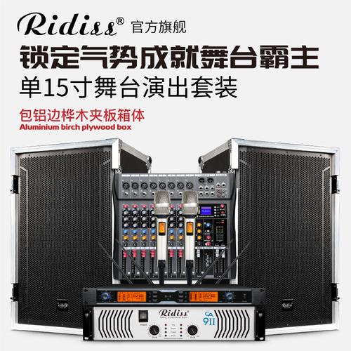 会议舞蹈婚庆户外k歌音箱全套ridiss15寸中小型舞台演出音响套装