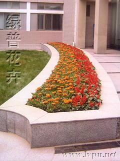 办公楼外长花坛