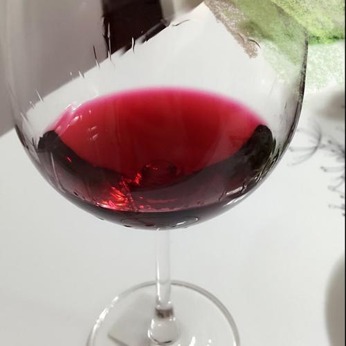 陈琳琳cc做的杨梅酒