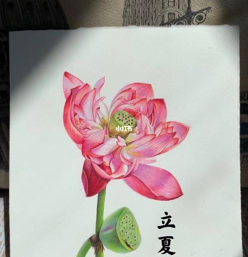 彩铅立夏_彩铅_赤峰市攻略_绘画_画画_文化_绘画