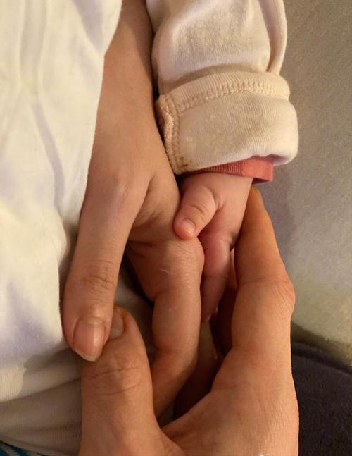 向佐颇有设计地晒出了一张一家三口手牵手的照片,将