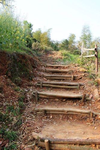 长兴十大古道一城山古道