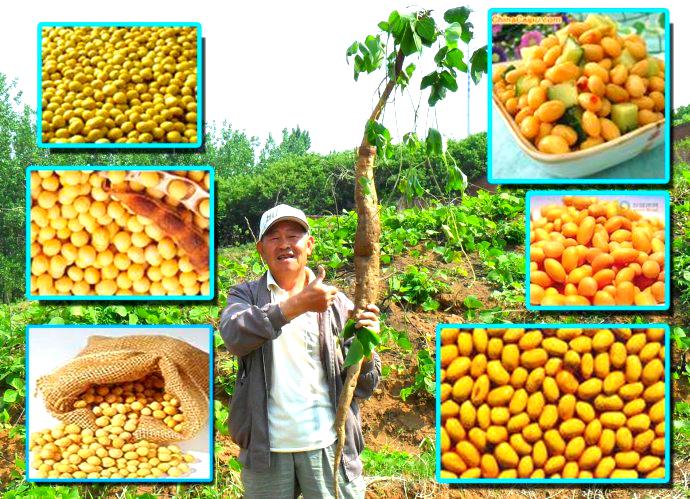 [转载]2011的意外收获