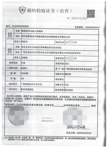 右江区农业农村局关于批准发放植物(芒果苗木)检疫证书(出省)