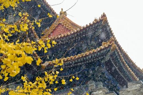 故宫海棠美上热搜!50张图带你看遍紫禁城的四时风光!