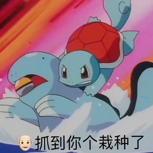 爷抓到你个崽种了 - 神奇宝贝表情包 - 斗图表情包