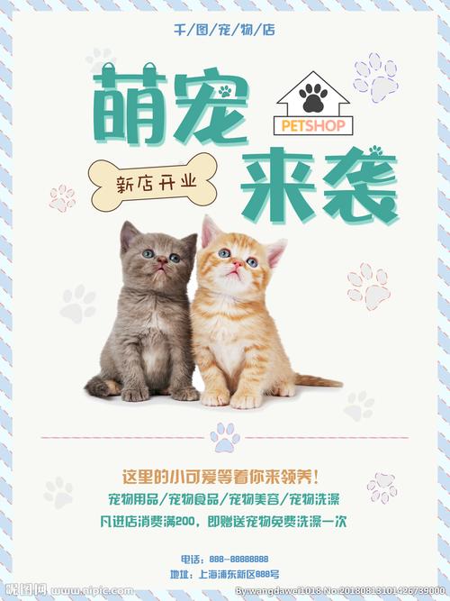 宠物店图片