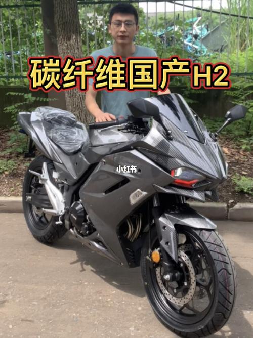 防碳纤维国产h2_摩托车_汽车_摩托车