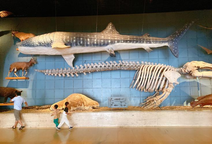杭州亲子游|浙江自然博物馆_自然博物馆_亲子游_浙江自然博物馆_博物