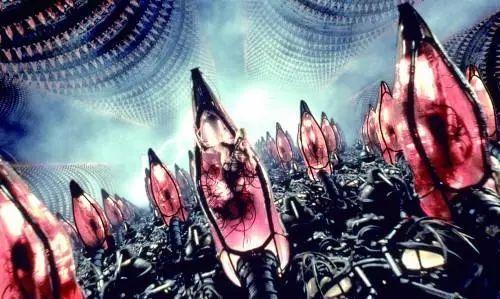 黑客帝国中人类的"容器"