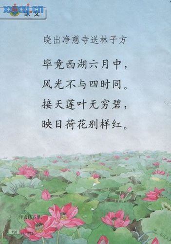 关于荷花荷叶古诗的手抄报古诗的手抄报