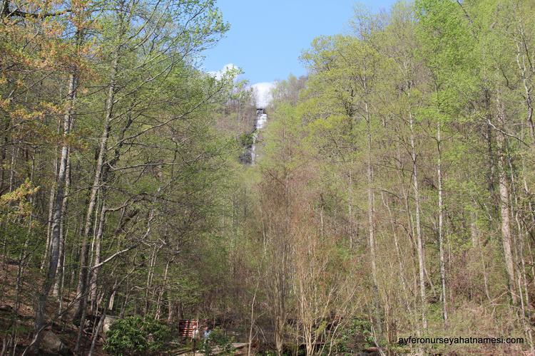 georgia state parks