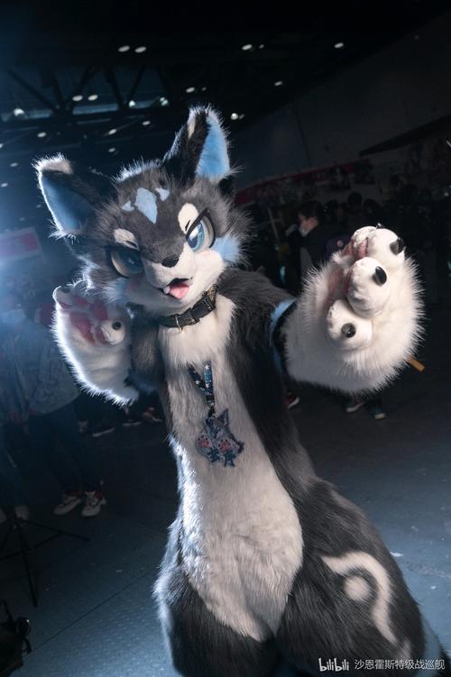 数十万年轻人花3万购买兽装治愈社恐?这究竟是一个怎样的群体?