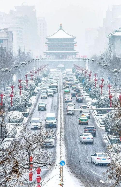 初雪大片最美不过长安雪