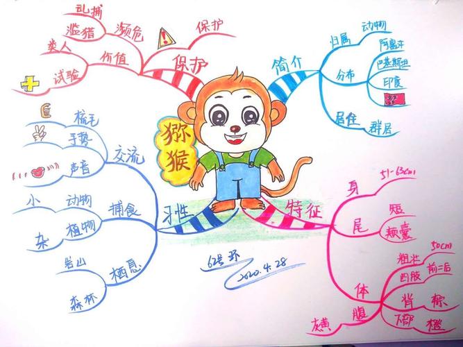 思维导图——提取关键词训练(十一)