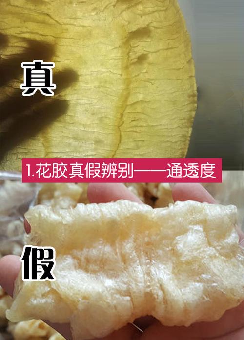 假花胶没有通透度,很死板的肉质.