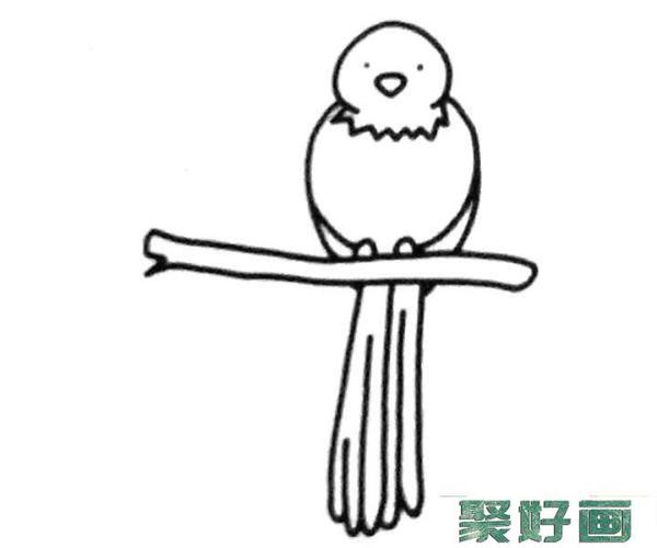 6款简单的喜鹊简笔画图片怎么画简笔画教程