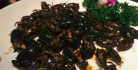 广东美食水蟑螂,给我一亿我都不敢吃!这些昆虫美食,你