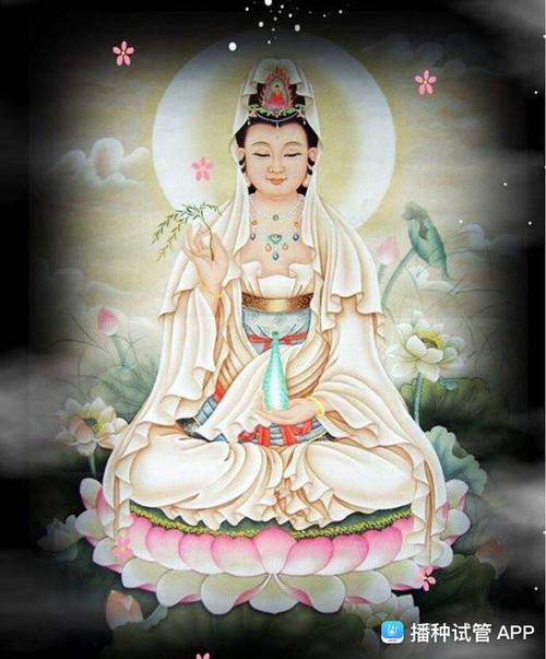 [试管婴儿]大慈大悲观世音菩萨,救苦救难广