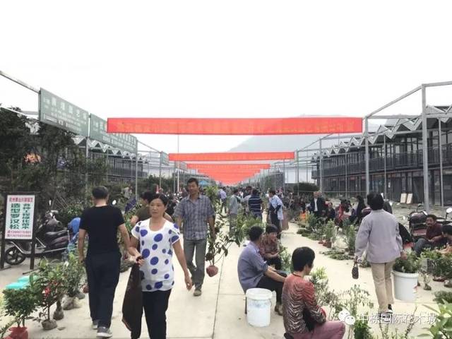 中栋国际花木城是由萧山区百强企业 浙江中栋控股集团匠心打造的 一站