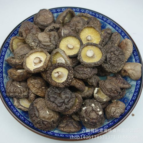 香菇 ,又名香蕈,香信,香菌,冬菇,香菰,为侧耳科植物香蕈的子实体.