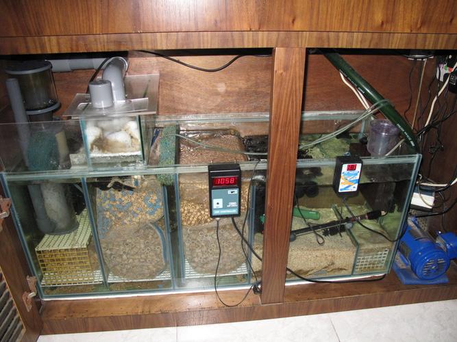 上滤鱼缸滤材摆放图 上滤滤材摆放顺序图_上滤放什么滤材