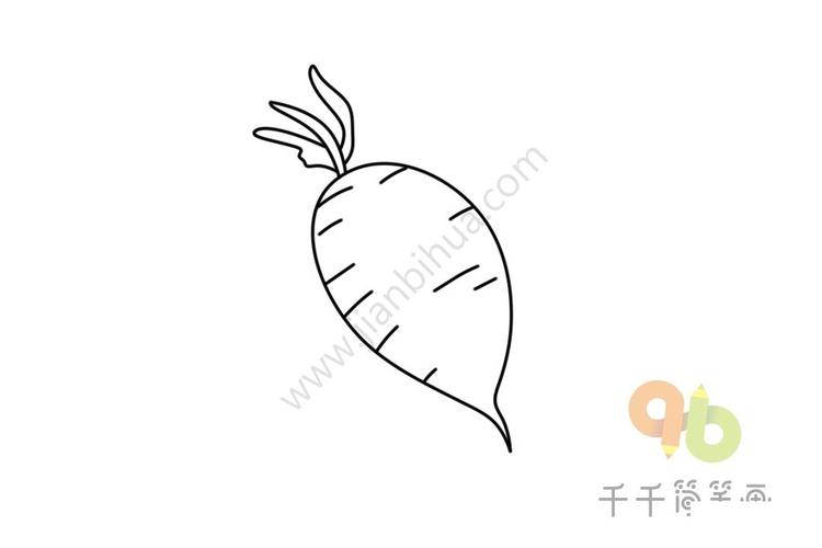 水萝卜简笔画步骤图