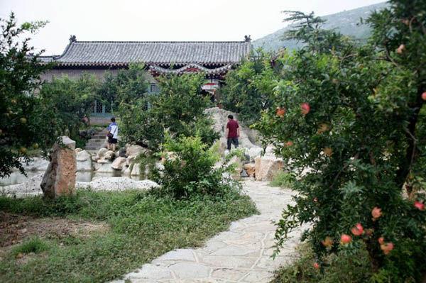 &nbsp; 阅读(31)|评论(0) &nbsp万亩石榴园;;; 万亩杜鹃山; 枣庄万亩