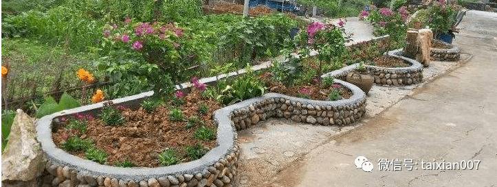 史上最全庭院花坛设计500款_花池