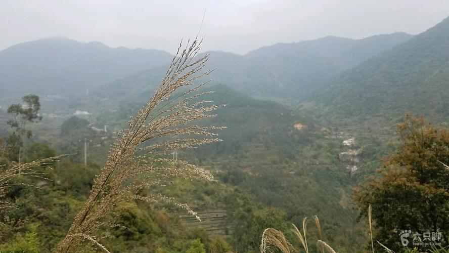 厦门同安:祥溪林场-美宫村-西坑穿越茶园-白交祠南-山