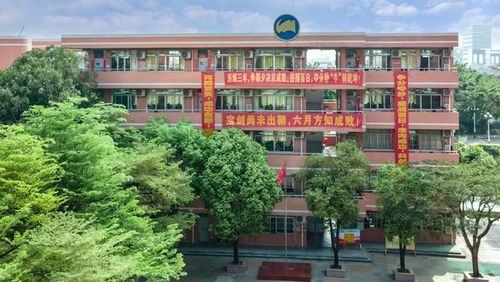 「佛山南海中学分校」花开清明春过半 语浅情深唯思君